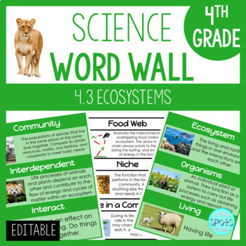 Preview of Ecosystems: 4th Grade Science Word Wall