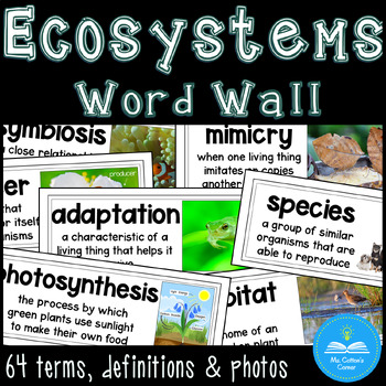 Preview of Ecosystems - 64 Science Vocabulary Word Wall Cards - Bulletin Board