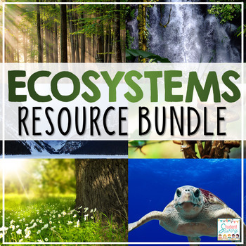 Preview of Ecosystems Activities Resource Bundle - Project STEM Ecology Food Chain Food Web
