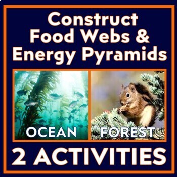Preview of SET OF 2 Energy Flow in Ecosystems Activity Construct Food Webs Energy Pyramids