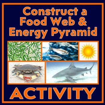 Preview of Energy Flow in Ecosystems Activity Construct Ocean Food Web and Energy Pyramid