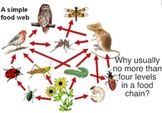 Ecosystems & Adaptations