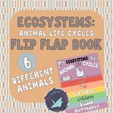 Ecosystems: Animal Life Cycles Flip Flap Book and Posters