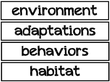 Ecosystems Pocket Chart Vocabulary | EDITABLE by Kim ...