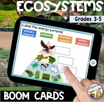 Preview of Ecosystems BOOM CARDS- DISTANCE LEARNING