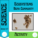 Ecosystems: Bean Community Activity