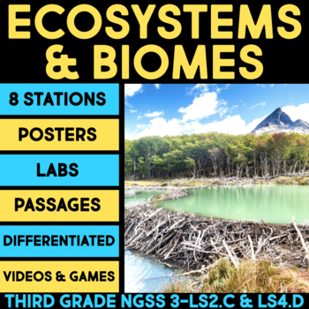 Preview of Ecosystems, Biomes, Food Chains, Environmental Changes 3rd Grade Science Centers