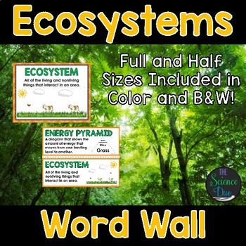 Preview of Ecosystems Word Wall
