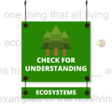 Ecosystems - Check for Understanding Questions (Video Link)