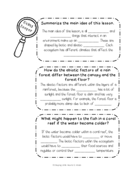 Abiotic Factors of a Rain Forest