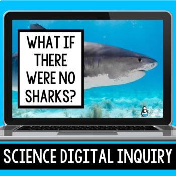 Preview of Ecosystems Digital Inquiry Resource | Sharks in the Food Chain & Food Web