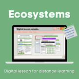 Ecosystems Distance learning (KS3)