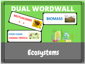 Preview of Ecosystems Dual Language Word Wall