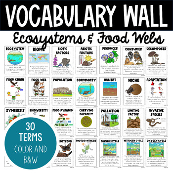 Preview of Ecosystems | Ecology | Vocabulary Wall | Vocabulary Posters