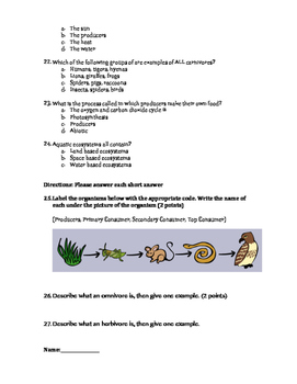 Ecosystems End of Unit Test by sydney | TPT