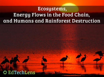 Preview of Ecosystem Energy Flows, Food Chains, Humans & Rainforest Destruction Unit eBook