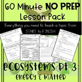 Ecosystems: Energy and Matter NO PREP Lesson