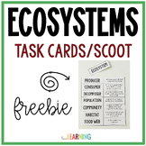 Ecosystems Flashcards Activity
