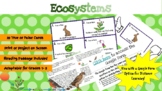 Ecosystems, Food Chains, Food Webs * True or False Cards *