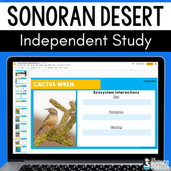 Preview of Sonoran Desert Digital Resource | Biomes and Ecosystems Food Webs Plants Animals