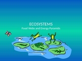 Ecosystems: Food Webs and Energy Pyramids