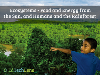 Preview of Rainforest Habitat, Ecosystem, Light Energy and Humans in the Forest Unit eBook