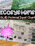 Ecosystems GLAD Pictorial Input Chart