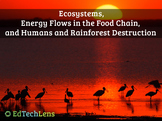 Ecosystem Energy Flows, Food Chains, Humans & Rainforest D