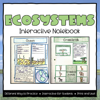 Ecosystems Interactive Notebook by Lighting Up Little Minds | TPT