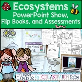 Ecosystems Worksheets Activities and PowerPoint 3rd Grade, 2nd Grade, 4th grade
