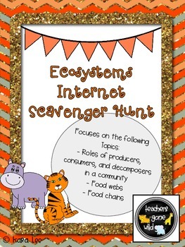 Preview of Ecosystems Internet Scavenger Hunt (Food Chains, Food Webs)
