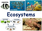 Ecosystems Lesson & Flashcards-task cards, study guide, 2023-2024
