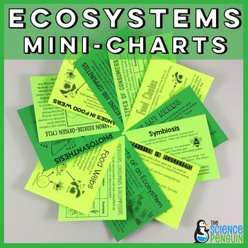 Preview of Ecosystems Mini-Charts | Food Webs, Food Chains, Photosynthesis, Consumers
