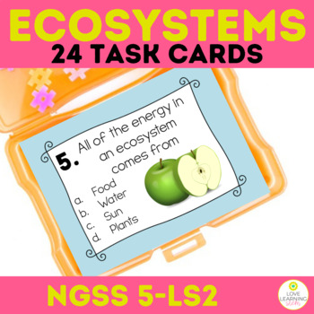 Preview of Ecosystems Movement of Matter Task Cards Plants Animals Decomposers Environment