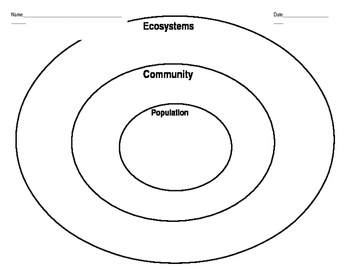Population Community Ecosystem Worksheet - Ivuyteq