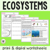 Ecosystems - Reading Comprehension Worksheets