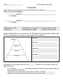 Ecosystems Study Guide