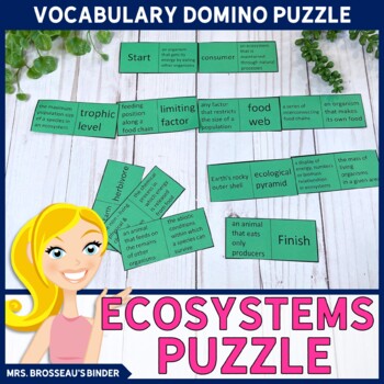 Preview of Ecosystems Terms Domino Puzzle