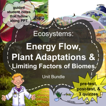 Preview of Ecosystems Unit: Energy Flow, Plant Adaptations, Limiting Factors
