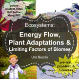 Ecosystems Unit: Energy Flow, Plant Adaptations, Limiting Factors