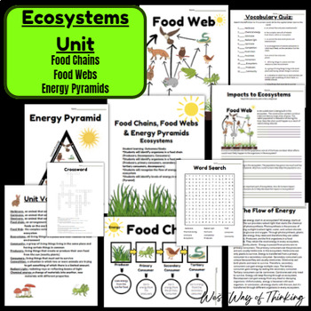 Preview of Ecosystems Unit- Food Chains, Food Webs & Energy Pyramids