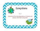 Ecosystems: Unit Review Task Cards - 5th Grade 5.L.2