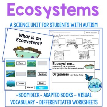 Preview of Ecosystems - producers - carnivores - food chain Unit (Special Education)