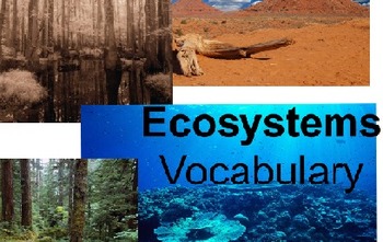 Preview of Ecosystems Vocabulary