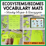 Ecosystems Vocabulary Activities Printable and Google Slides