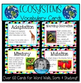 Ecosystems Vocabulary Cards-Great for Word Walls!