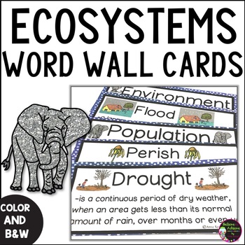 Preview of Environments and Ecosystems Vocabulary Cards With Definitions
