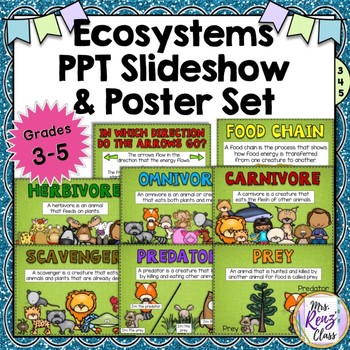 Preview of Ecosystems Vocabulary Slideshow & Posters for Grades 3-5 {PPT & Posters}