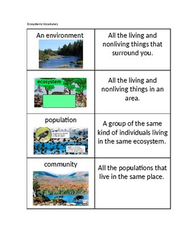 Preview of Ecosystems Vocabulary Sort Cards