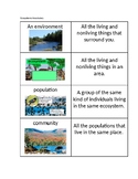 Ecosystems Vocabulary Sort Cards